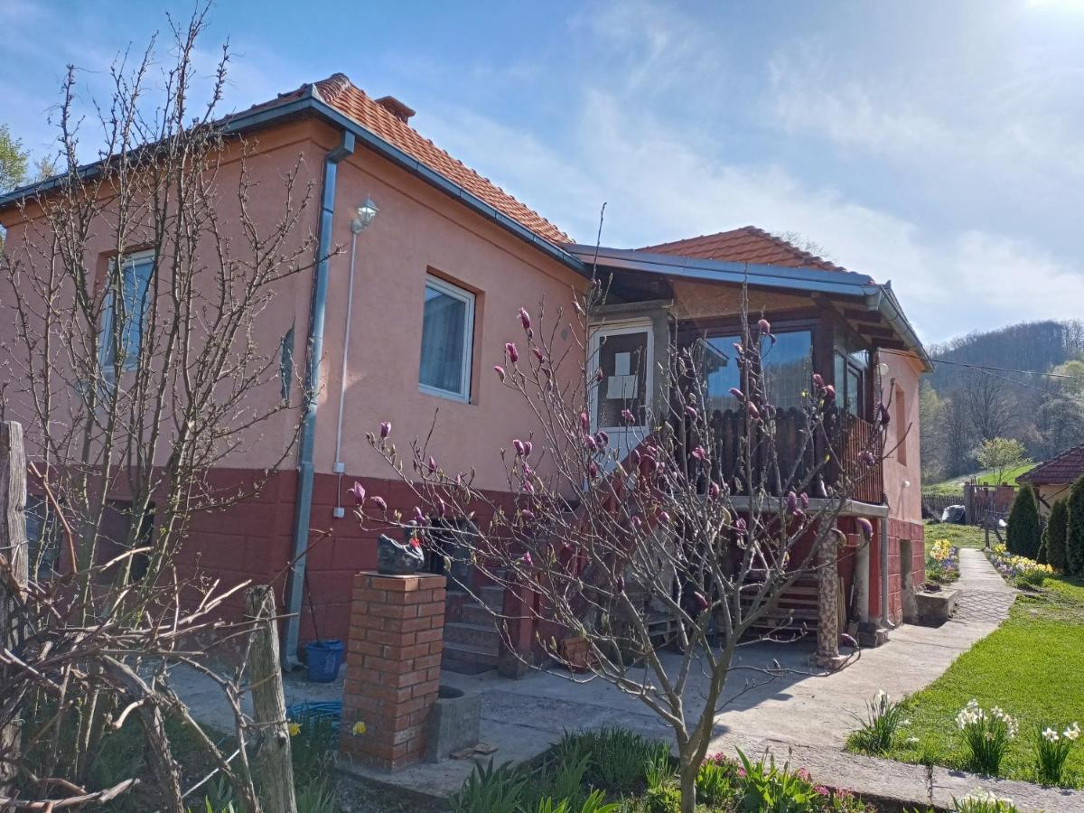 Kuca Jablansko Polje Villa Krepoljin Eksteriør bilde
