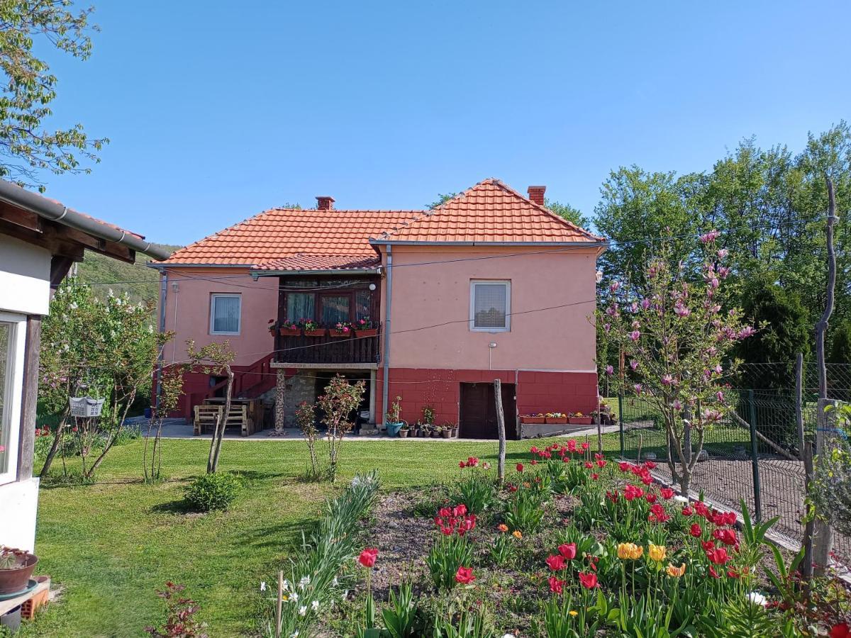 Kuca Jablansko Polje Villa Krepoljin Eksteriør bilde